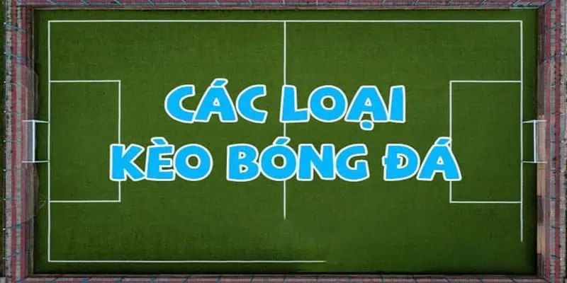 Thông tin về các loại tỷ lệ kèo Pro phổ biến