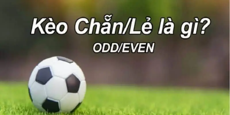 Kèo Chẵn/Lẻ (Odd/Even Odds)